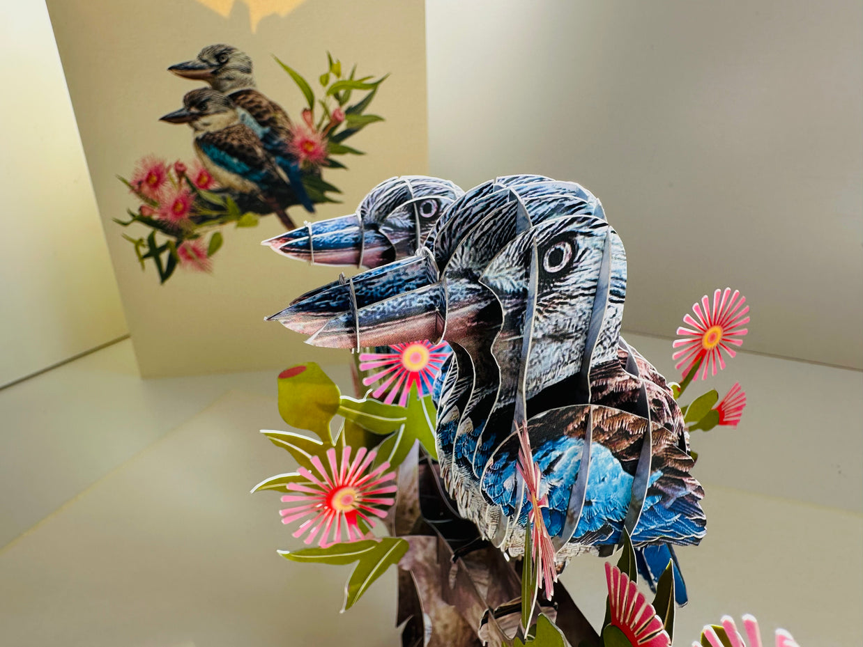 DOUBLE Kookaburra Australian Iconic Bird Origami Pop Cards 3D Pop Up Greeting Card Celebrate Happy Birthday Thank You Handmade Best Wishes Gift Thinking of You Blank Card for Any Occasion Happy Mother's Day Happy Father's Day Australiana Birds