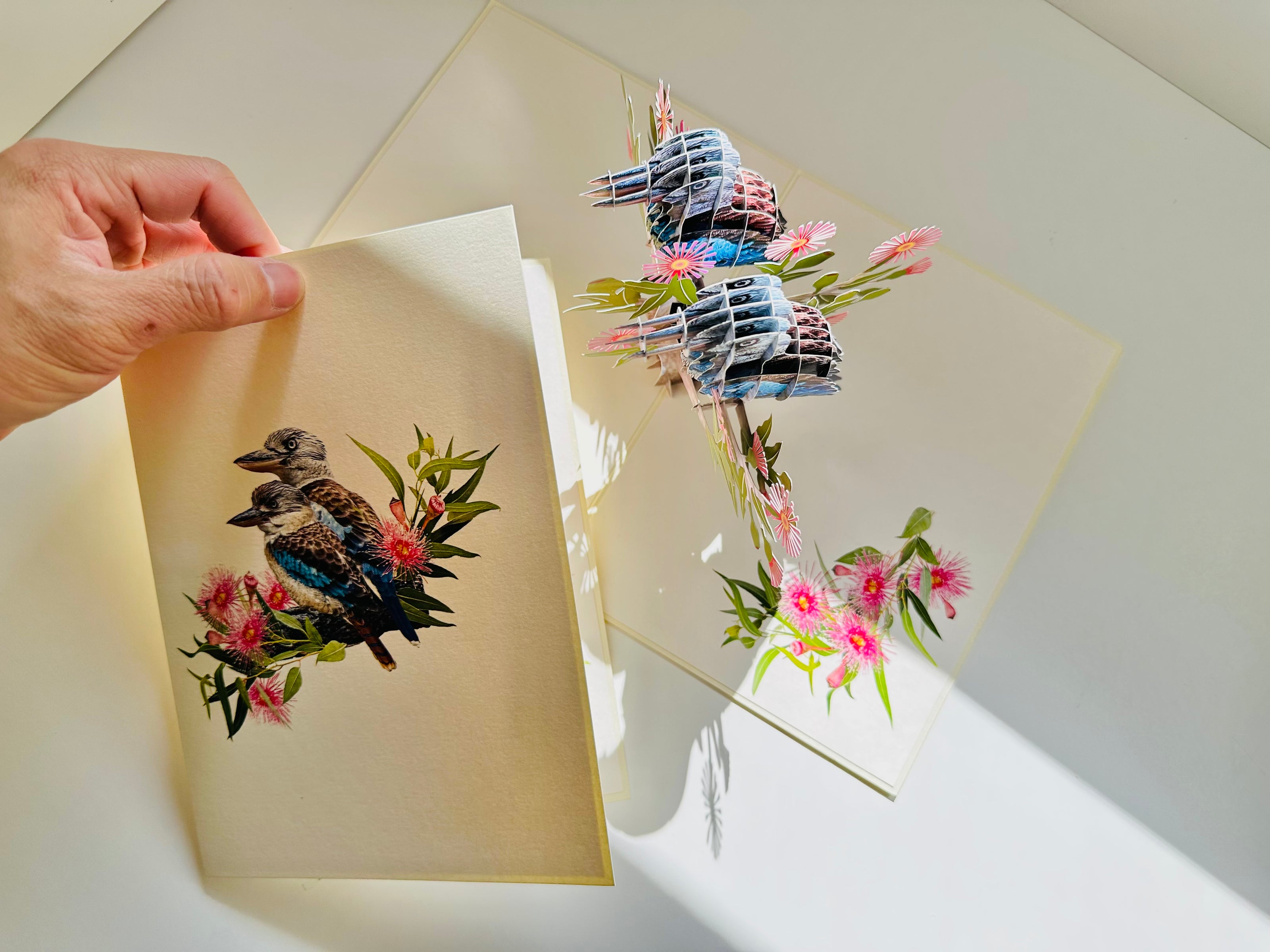 DOUBLE Kookaburra Australian Iconic Bird Origami Pop Cards 3D Pop Up Greeting Card Celebrate Happy Birthday Thank You Handmade Best Wishes Gift Thinking of You Blank Card for Any Occasion Happy Mother's Day Happy Father's Day Australiana Birds