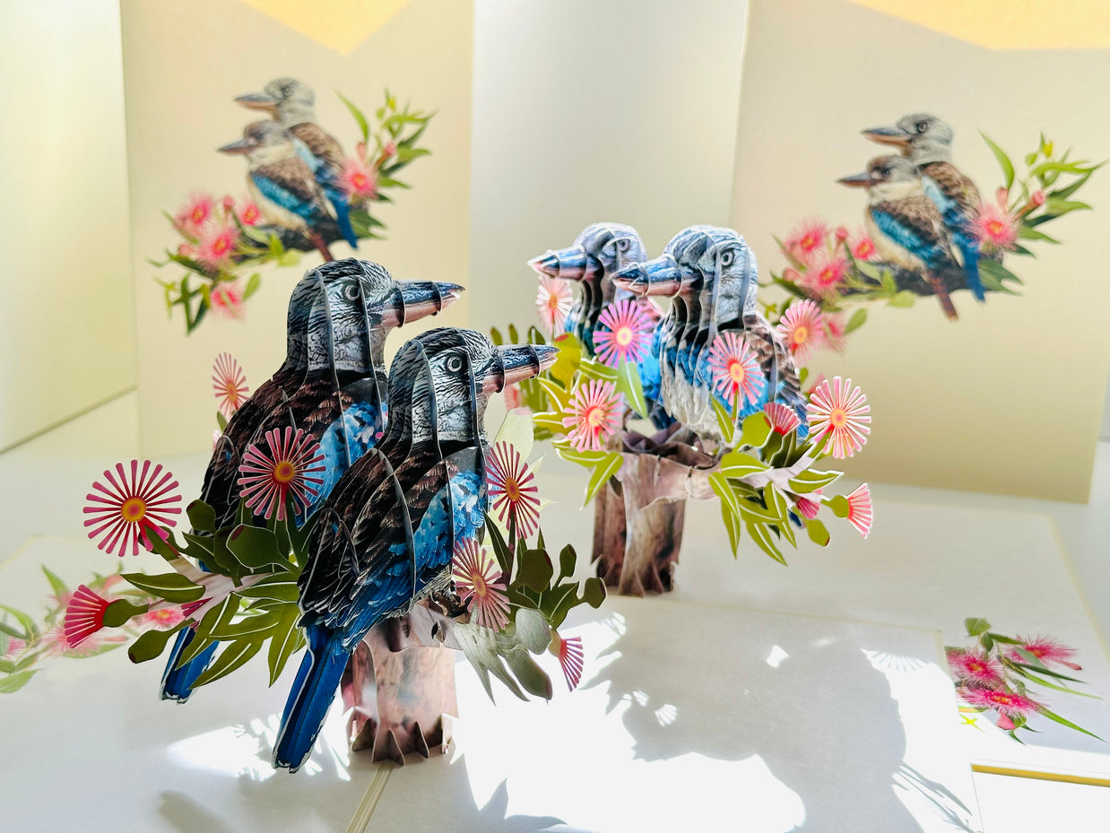 DOUBLE Kookaburra Australian Iconic Bird Origami Pop Cards 3D Pop Up Greeting Card Celebrate Happy Birthday Thank You Handmade Best Wishes Gift Thinking of You Blank Card for Any Occasion Happy Mother's Day Happy Father's Day Australiana Birds