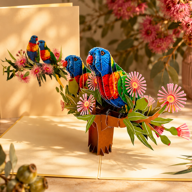 DOUBLE Rainbow Lorikeet Parrot Aussie Bird Card Origami Pop Cards 3D Pop Up Greeting Card Happy Birthday Thank You Handmade Gift Thinking of You Blank Card for Any Occasion Happy Mother's Day Happy Father's Australiana Birds