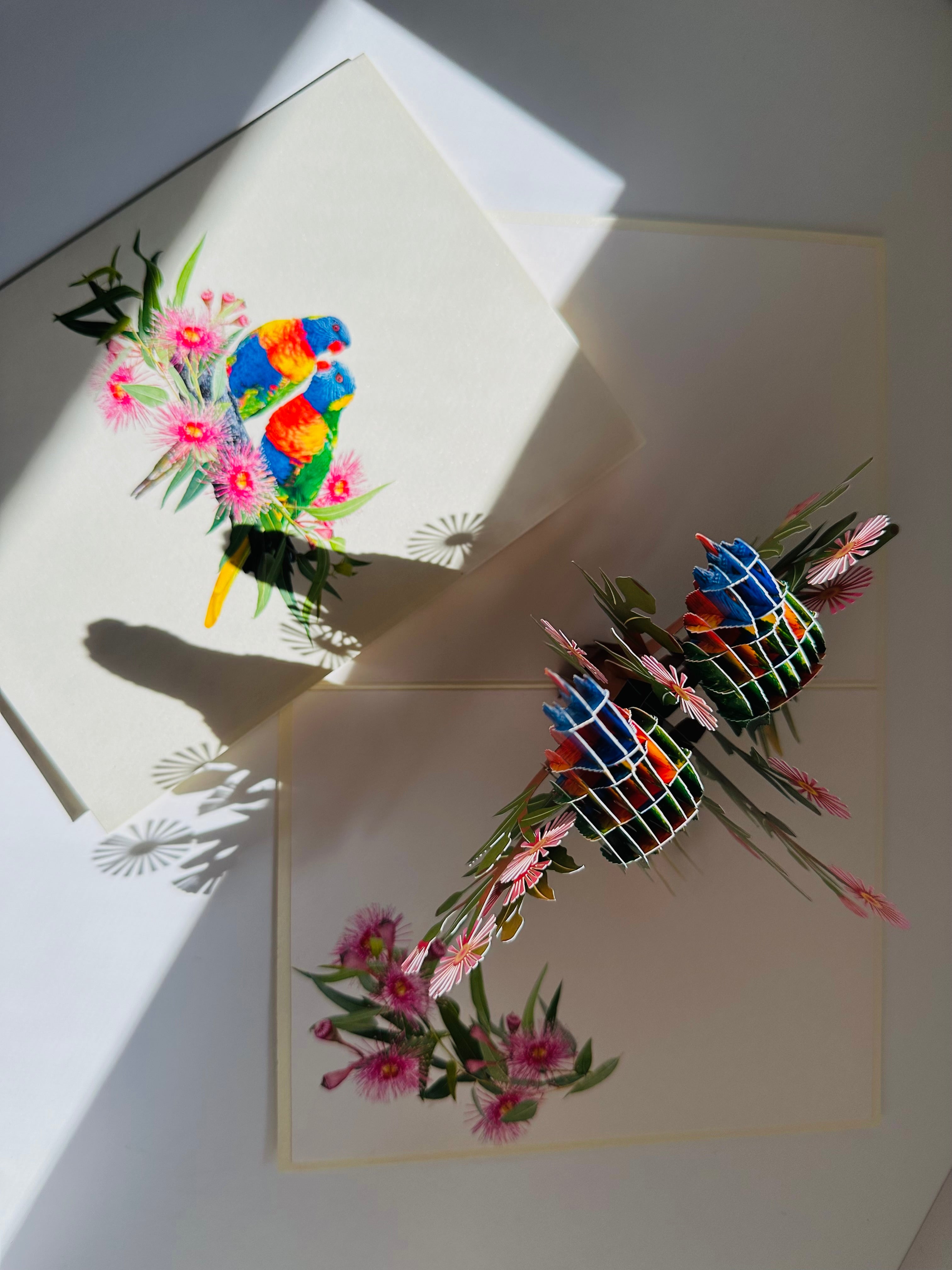DOUBLE Rainbow Lorikeet Parrot Aussie Bird Card Origami Pop Cards 3D Pop Up Greeting Card Happy Birthday Thank You Handmade Gift Thinking of You Blank Card for Any Occasion Happy Mother's Day Happy Father's Australiana Birds