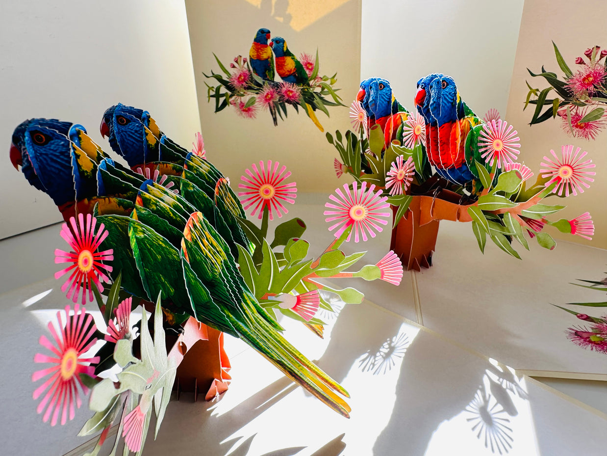 DOUBLE Rainbow Lorikeet Parrot Aussie Bird Card Origami Pop Cards 3D Pop Up Greeting Card Happy Birthday Thank You Handmade Gift Thinking of You Blank Card for Any Occasion Happy Mother's Day Happy Father's Australiana Birds