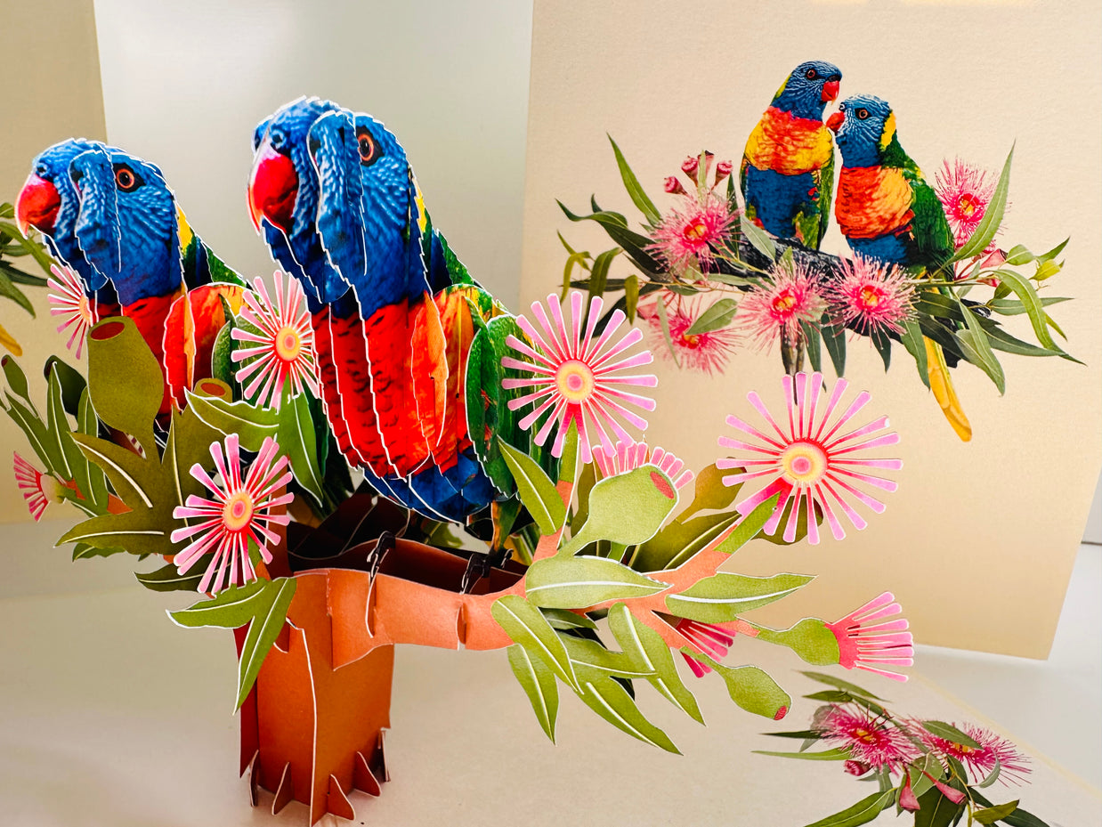 DOUBLE Rainbow Lorikeet Parrot Aussie Bird Card Origami Pop Cards 3D Pop Up Greeting Card Happy Birthday Thank You Handmade Gift Thinking of You Blank Card for Any Occasion Happy Mother's Day Happy Father's Australiana Birds