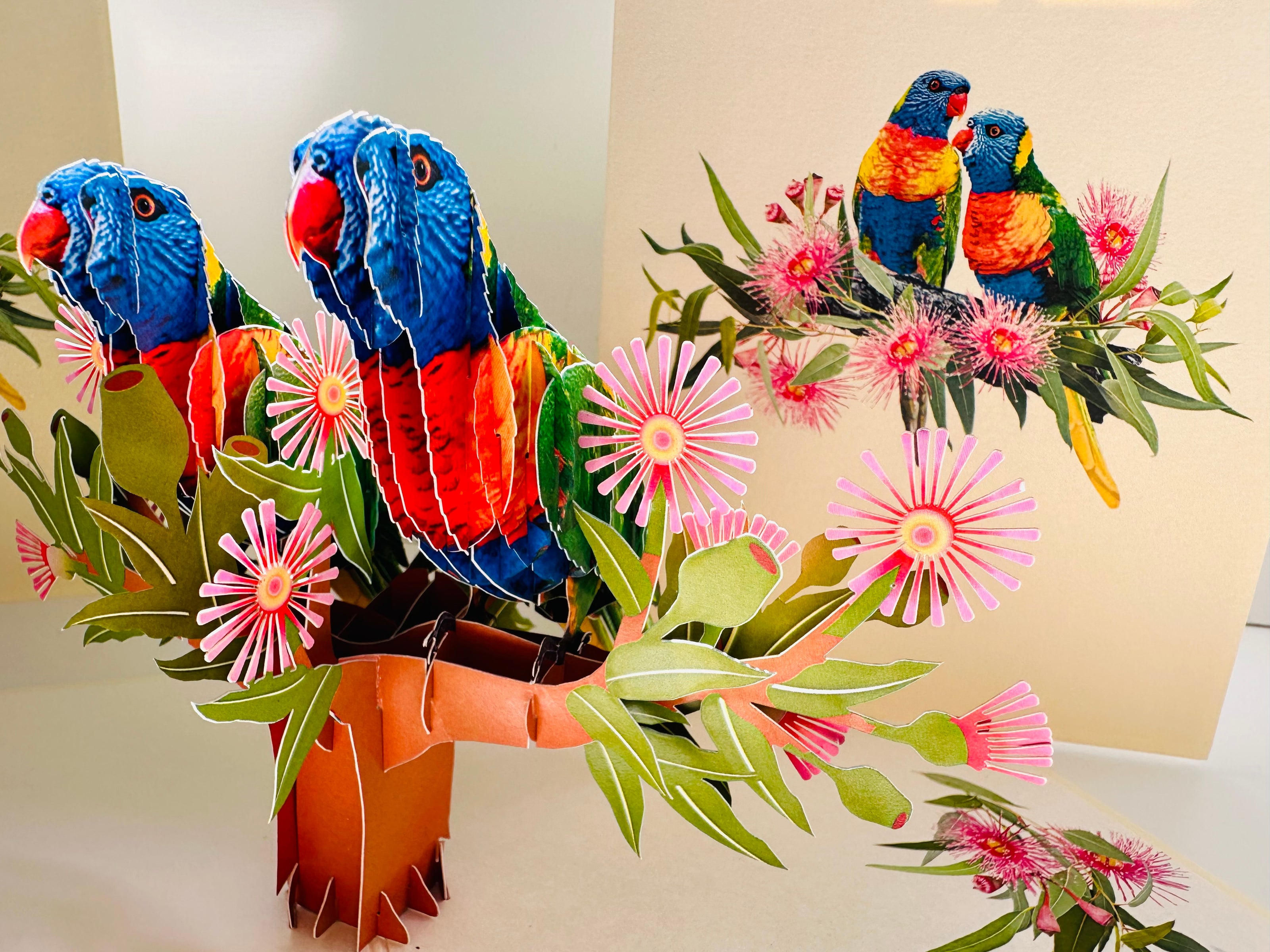DOUBLE Rainbow Lorikeet Parrot Aussie Bird Card Origami Pop Cards 3D Pop Up Greeting Card Happy Birthday Thank You Handmade Gift Thinking of You Blank Card for Any Occasion Happy Mother's Day Happy Father's Australiana Birds