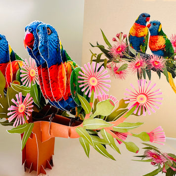 DOUBLE Rainbow Lorikeet Parrot Aussie Bird Card Origami Pop Cards 3D Pop Up Greeting Card Happy Birthday Thank You Handmade Gift Thinking of You Blank Card for Any Occasion Happy Mother's Day Happy Father's Australiana Birds