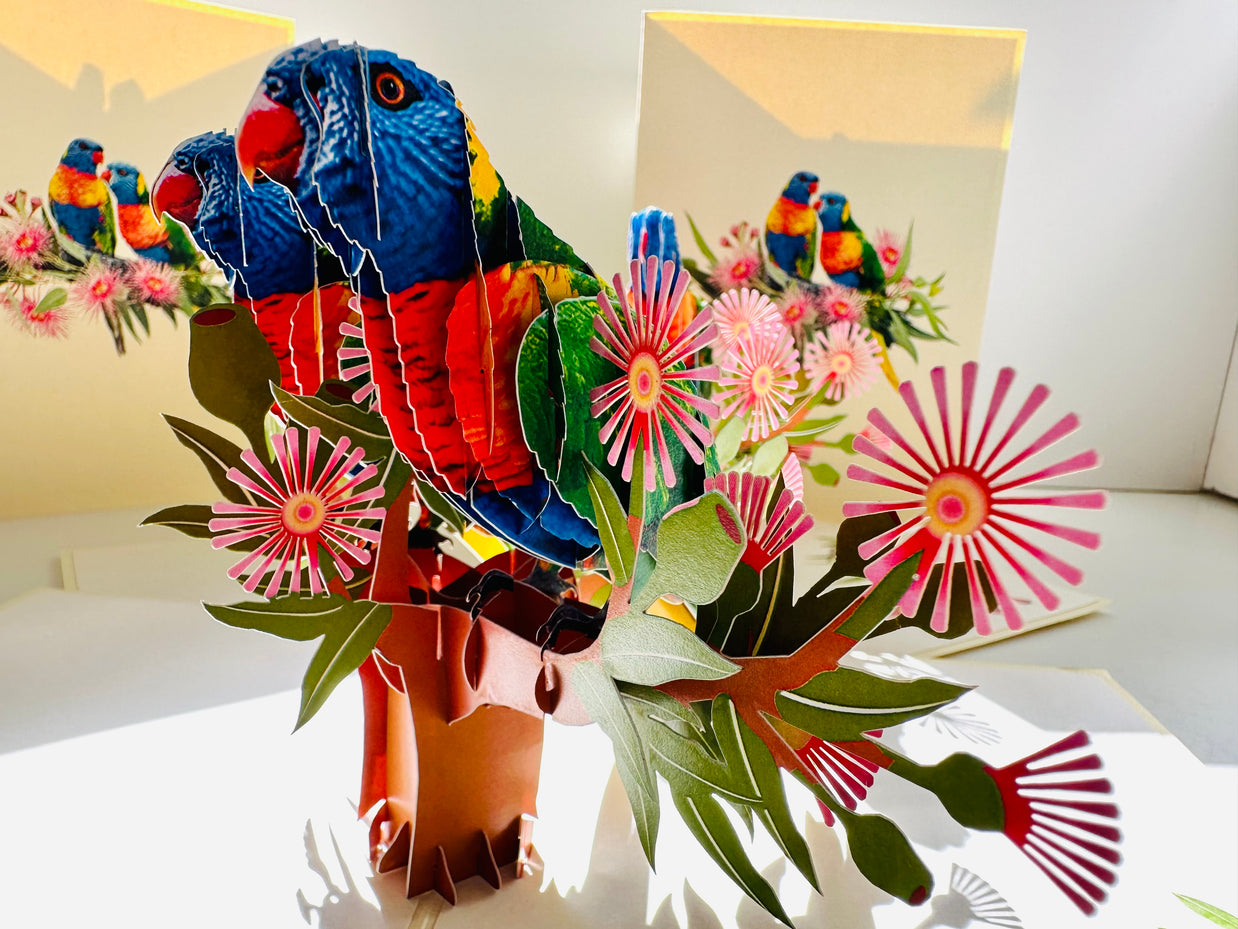 DOUBLE Rainbow Lorikeet Parrot Aussie Bird Card Origami Pop Cards 3D Pop Up Greeting Card Happy Birthday Thank You Handmade Gift Thinking of You Blank Card for Any Occasion Happy Mother's Day Happy Father's Australiana Birds