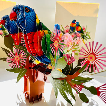 DOUBLE Rainbow Lorikeet Parrot Aussie Bird Card Origami Pop Cards 3D Pop Up Greeting Card Happy Birthday Thank You Handmade Gift Thinking of You Blank Card for Any Occasion Happy Mother's Day Happy Father's Australiana Birds