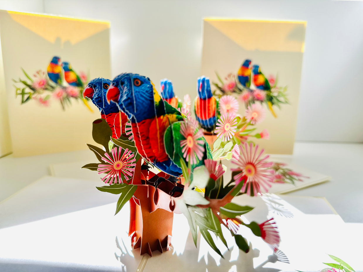DOUBLE Rainbow Lorikeet Parrot Aussie Bird Card Origami Pop Cards 3D Pop Up Greeting Card Happy Birthday Thank You Handmade Gift Thinking of You Blank Card for Any Occasion Happy Mother's Day Happy Father's Australiana Birds