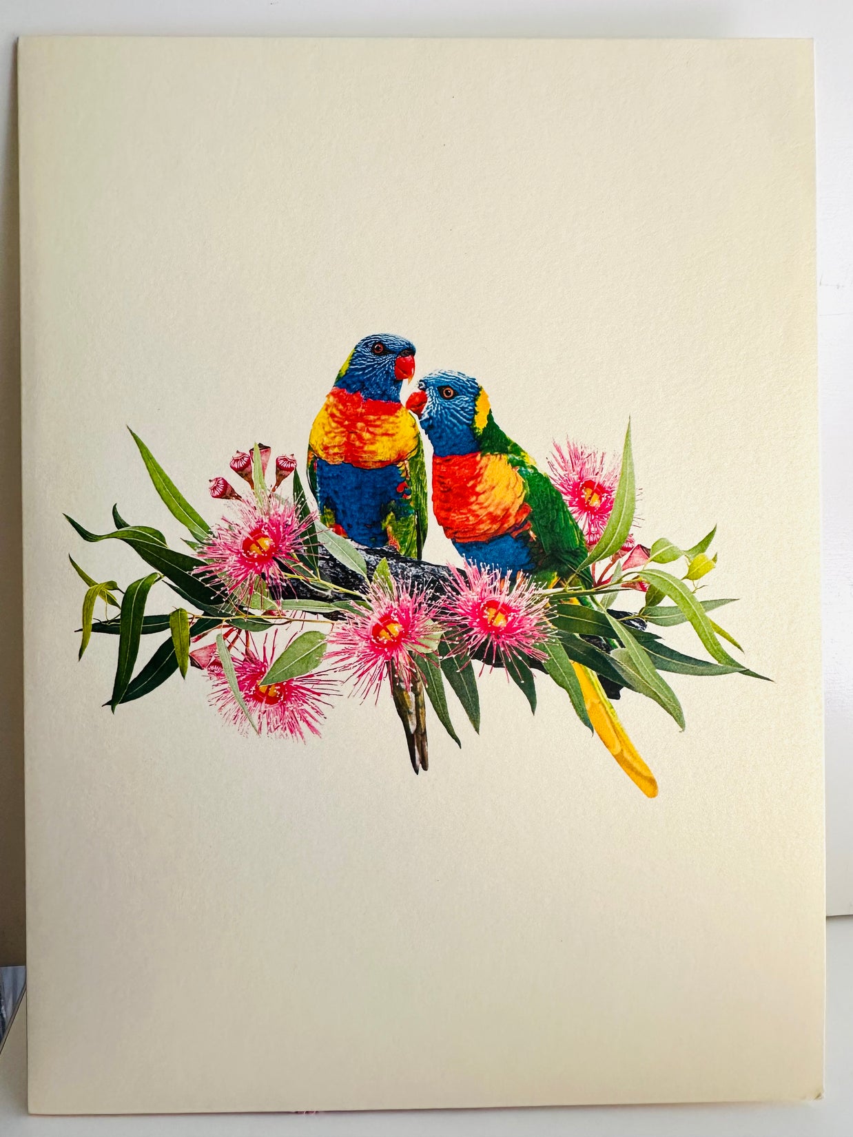DOUBLE Rainbow Lorikeet Parrot Aussie Bird Card Origami Pop Cards 3D Pop Up Greeting Card Happy Birthday Thank You Handmade Gift Thinking of You Blank Card for Any Occasion Happy Mother's Day Happy Father's Australiana Birds