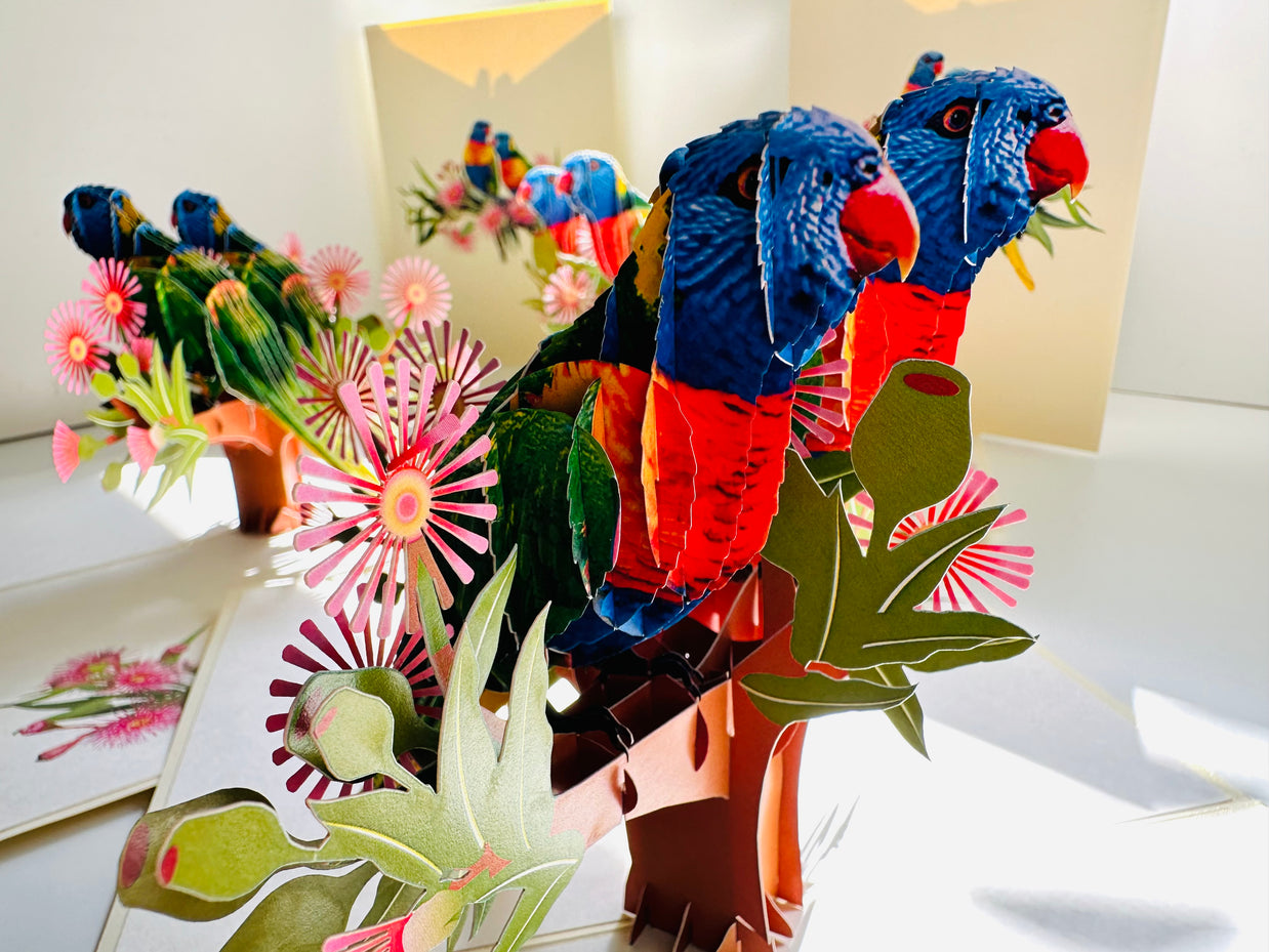DOUBLE Rainbow Lorikeet Parrot Aussie Bird Card Origami Pop Cards 3D Pop Up Greeting Card Happy Birthday Thank You Handmade Gift Thinking of You Blank Card for Any Occasion Happy Mother's Day Happy Father's Australiana Birds