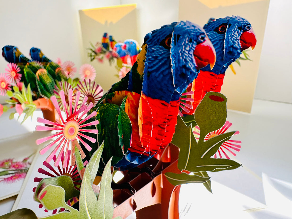 DOUBLE Rainbow Lorikeet Parrot Aussie Bird Card Origami Pop Cards 3D Pop Up Greeting Card Happy Birthday Thank You Handmade Gift Thinking of You Blank Card for Any Occasion Happy Mother's Day Happy Father's Australiana Birds
