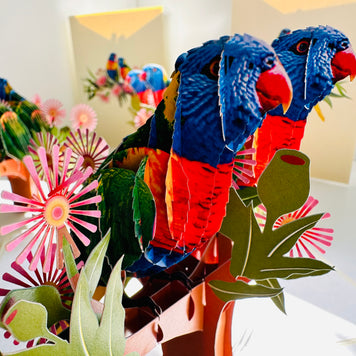 DOUBLE Rainbow Lorikeet Parrot Aussie Bird Card Origami Pop Cards 3D Pop Up Greeting Card Happy Birthday Thank You Handmade Gift Thinking of You Blank Card for Any Occasion Happy Mother's Day Happy Father's Australiana Birds