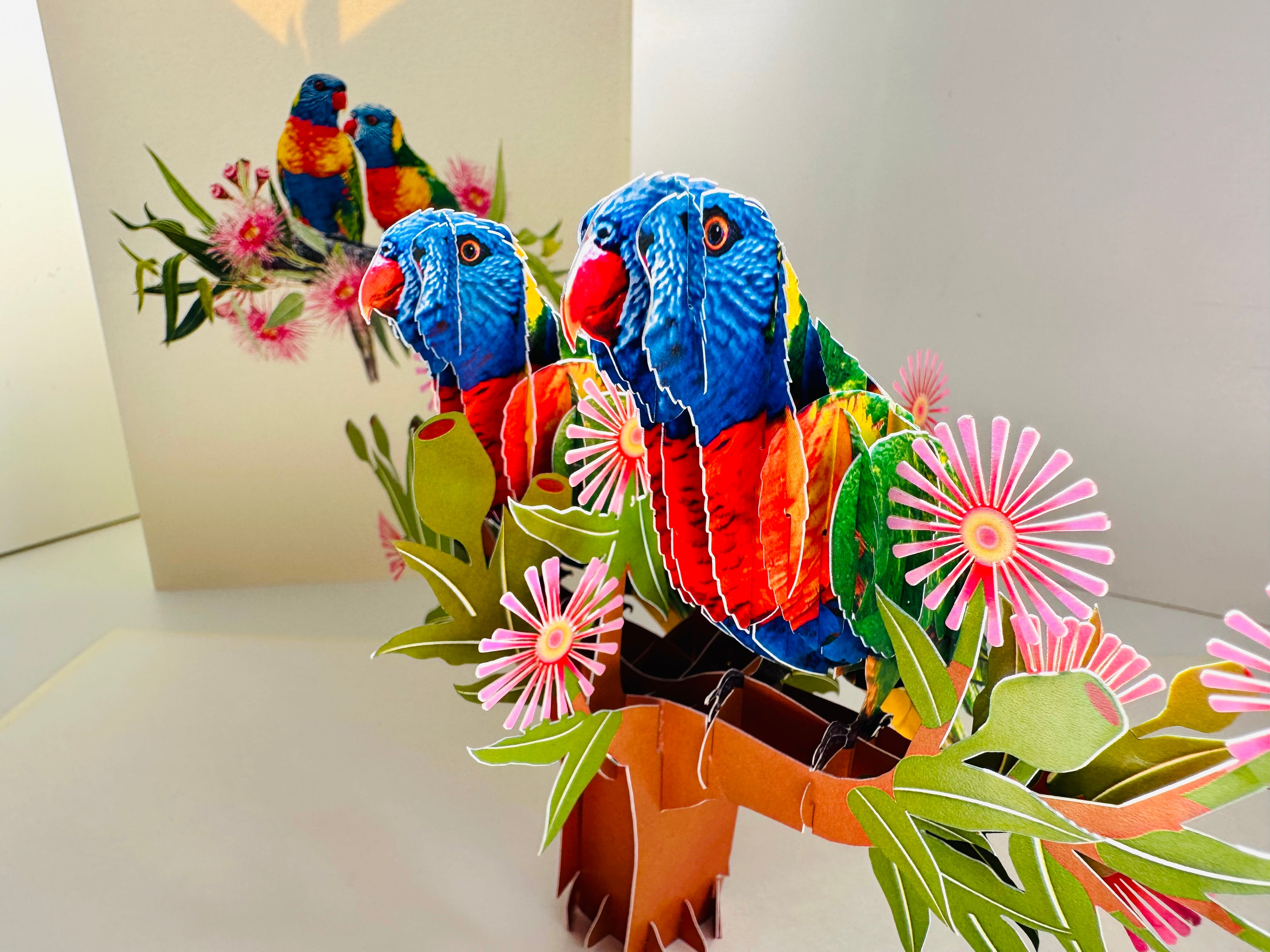 DOUBLE Rainbow Lorikeet Parrot Aussie Bird Card Origami Pop Cards 3D Pop Up Greeting Card Happy Birthday Thank You Handmade Gift Thinking of You Blank Card for Any Occasion Happy Mother's Day Happy Father's Australiana Birds