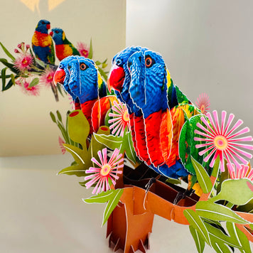 DOUBLE Rainbow Lorikeet Parrot Aussie Bird Card Origami Pop Cards 3D Pop Up Greeting Card Happy Birthday Thank You Handmade Gift Thinking of You Blank Card for Any Occasion Happy Mother's Day Happy Father's Australiana Birds
