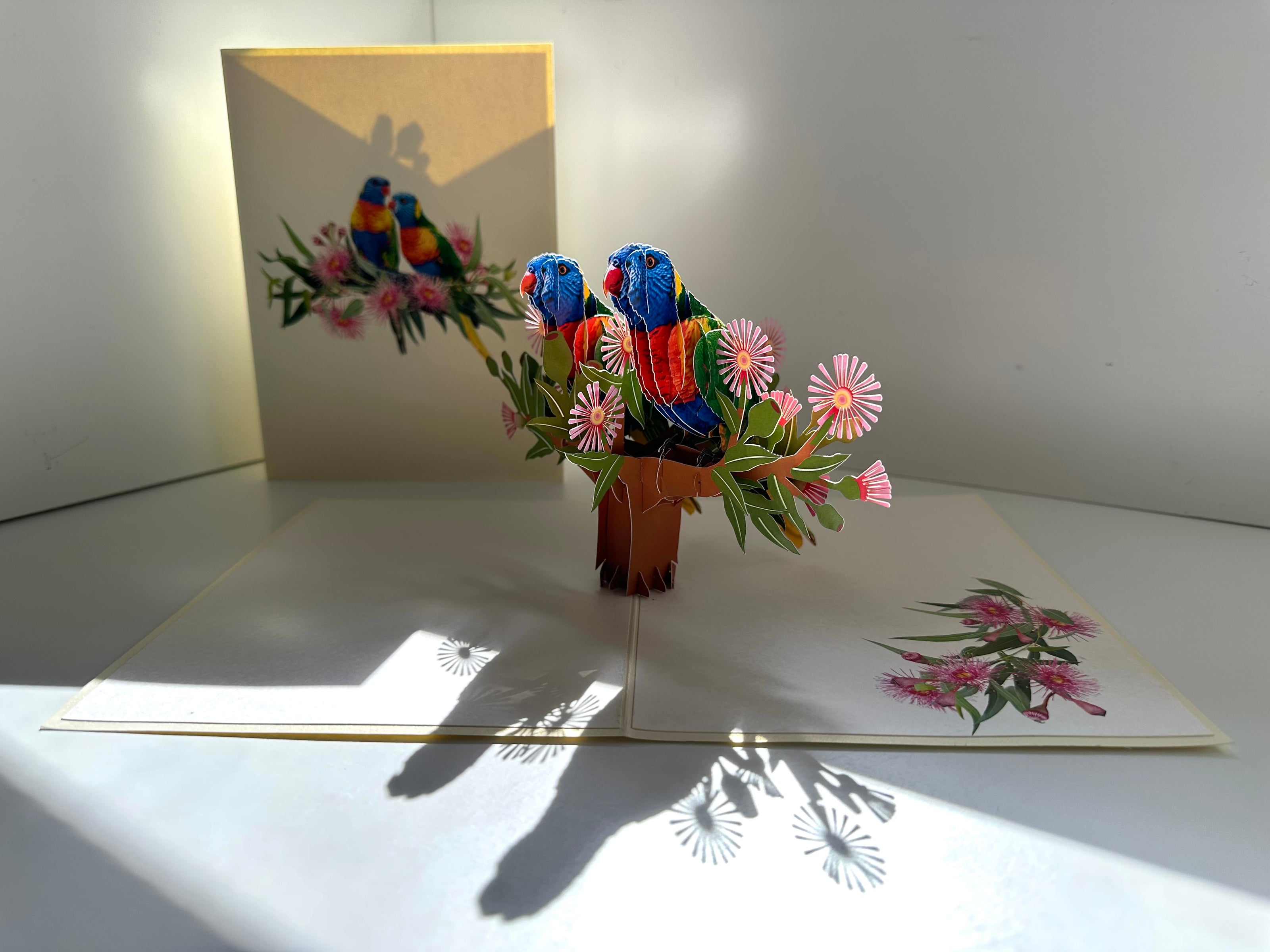 DOUBLE Rainbow Lorikeet Parrot Aussie Bird Card Origami Pop Cards 3D Pop Up Greeting Card Happy Birthday Thank You Handmade Gift Thinking of You Blank Card for Any Occasion Happy Mother's Day Happy Father's Australiana Birds