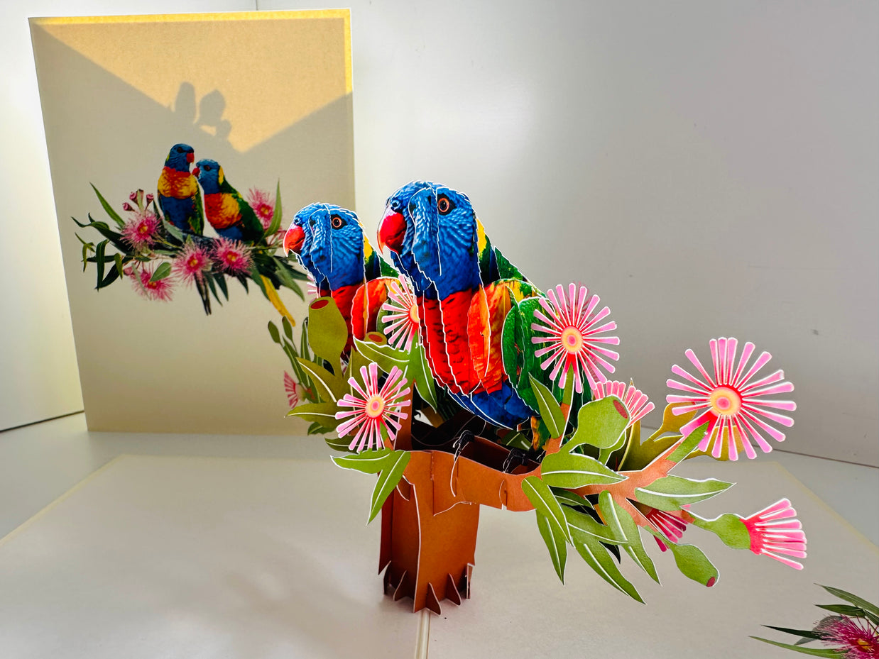 DOUBLE Rainbow Lorikeet Parrot Aussie Bird Card Origami Pop Cards 3D Pop Up Greeting Card Happy Birthday Thank You Handmade Gift Thinking of You Blank Card for Any Occasion Happy Mother's Day Happy Father's Australiana Birds