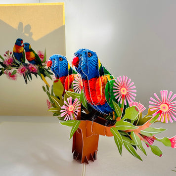DOUBLE Rainbow Lorikeet Parrot Aussie Bird Card Origami Pop Cards 3D Pop Up Greeting Card Happy Birthday Thank You Handmade Gift Thinking of You Blank Card for Any Occasion Happy Mother's Day Happy Father's Australiana Birds