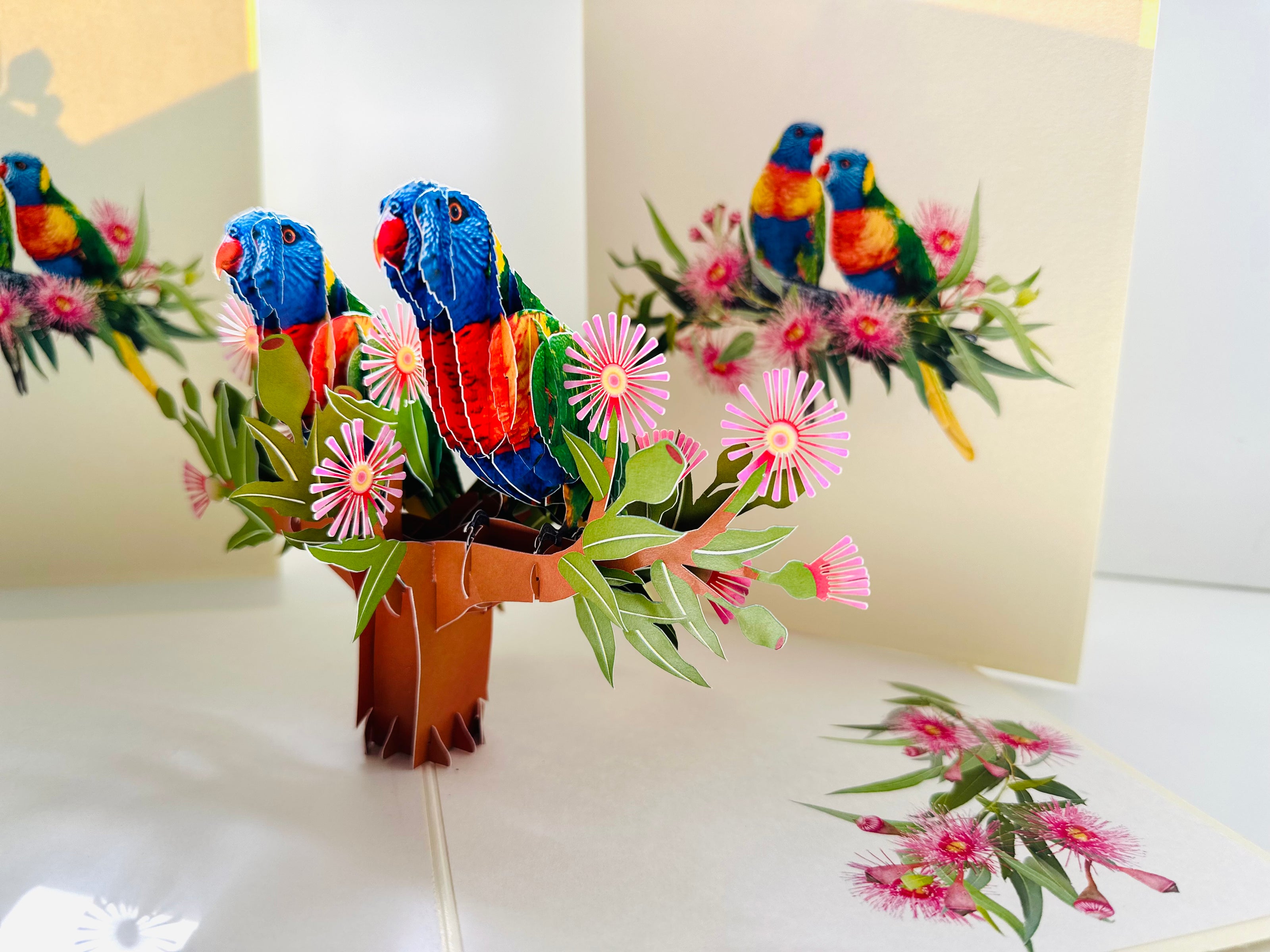 DOUBLE Rainbow Lorikeet Parrot Aussie Bird Card Origami Pop Cards 3D Pop Up Greeting Card Happy Birthday Thank You Handmade Gift Thinking of You Blank Card for Any Occasion Happy Mother's Day Happy Father's Australiana Birds
