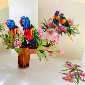 DOUBLE Rainbow Lorikeet Parrot Aussie Bird Card Origami Pop Cards 3D Pop Up Greeting Card Happy Birthday Thank You Handmade Gift Thinking of You Blank Card for Any Occasion Happy Mother's Day Happy Father's Australiana Birds