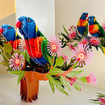 DOUBLE Rainbow Lorikeet Parrot Aussie Bird Card Origami Pop Cards 3D Pop Up Greeting Card Happy Birthday Thank You Handmade Gift Thinking of You Blank Card for Any Occasion Happy Mother's Day Happy Father's Australiana Birds