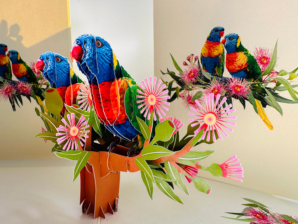 DOUBLE Rainbow Lorikeet Parrot Aussie Bird Card Origami Pop Cards 3D Pop Up Greeting Card Happy Birthday Thank You Handmade Gift Thinking of You Blank Card for Any Occasion Happy Mother's Day Happy Father's Australiana Birds