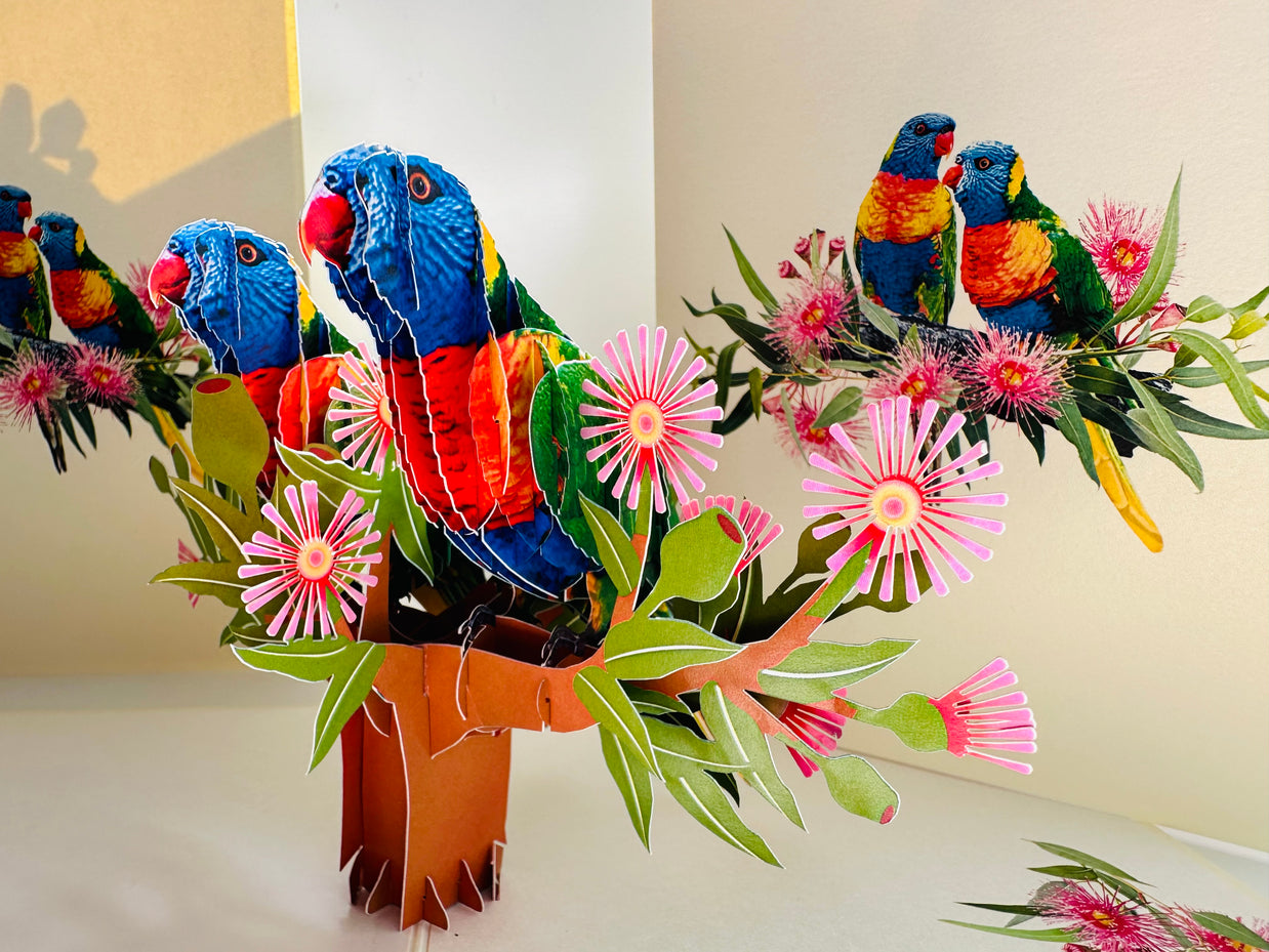 DOUBLE Rainbow Lorikeet Parrot Aussie Bird Card Origami Pop Cards 3D Pop Up Greeting Card Happy Birthday Thank You Handmade Gift Thinking of You Blank Card for Any Occasion Happy Mother's Day Happy Father's Australiana Birds