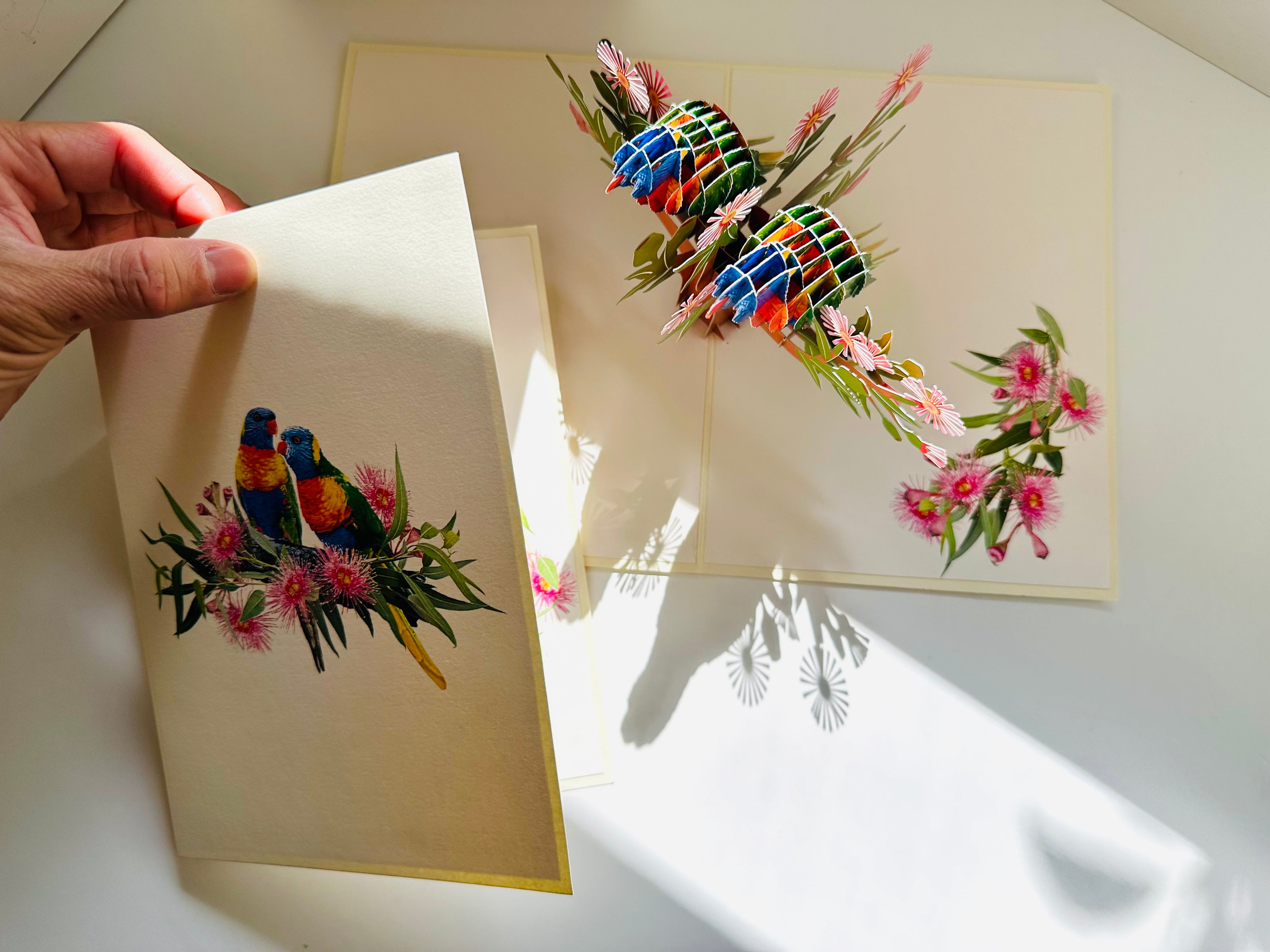 DOUBLE Rainbow Lorikeet Parrot Aussie Bird Card Origami Pop Cards 3D Pop Up Greeting Card Happy Birthday Thank You Handmade Gift Thinking of You Blank Card for Any Occasion Happy Mother's Day Happy Father's Australiana Birds