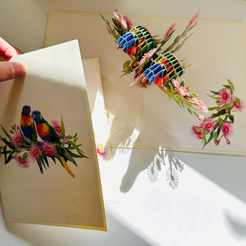 DOUBLE Rainbow Lorikeet Parrot Aussie Bird Card Origami Pop Cards 3D Pop Up Greeting Card Happy Birthday Thank You Handmade Gift Thinking of You Blank Card for Any Occasion Happy Mother's Day Happy Father's Australiana Birds