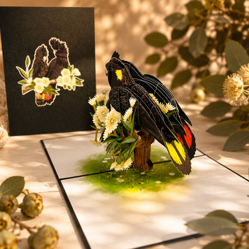 DOUBLE Red-Tailed & Yellow-Tailed Black Cockatoos - Aussie Bird Origami Pop Cards 3D Pop Up Greeting Card Happy Birthday Thank You Handmade Gift Thinking of You Blank Card for Any Occasion Happy Mother's Day Happy Father's Australiana Birds