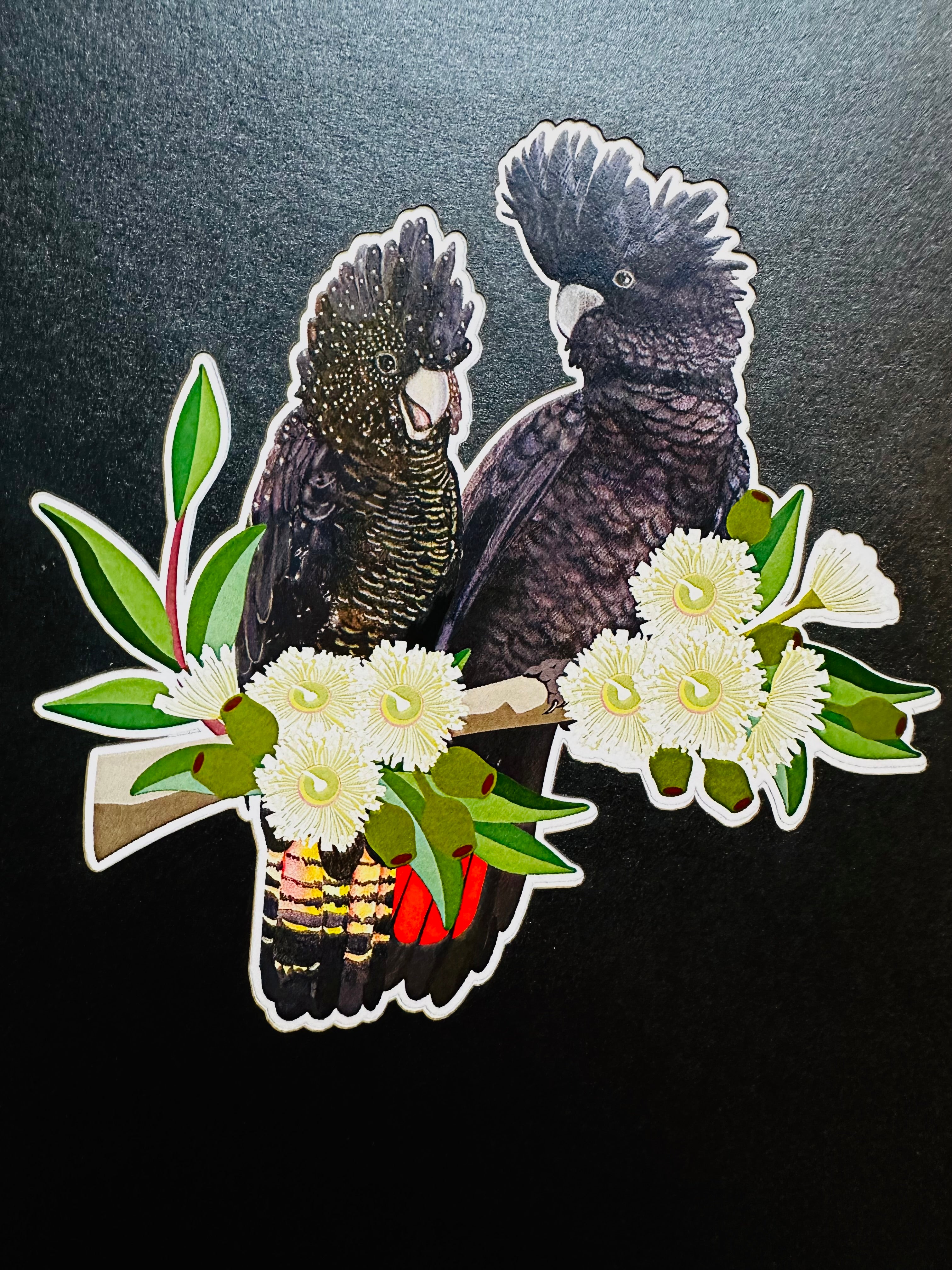DOUBLE Red-Tailed & Yellow-Tailed Black Cockatoos - Aussie Bird Origami Pop Cards 3D Pop Up Greeting Card Happy Birthday Thank You Handmade Gift Thinking of You Blank Card for Any Occasion Happy Mother's Day Happy Father's Australiana Birds