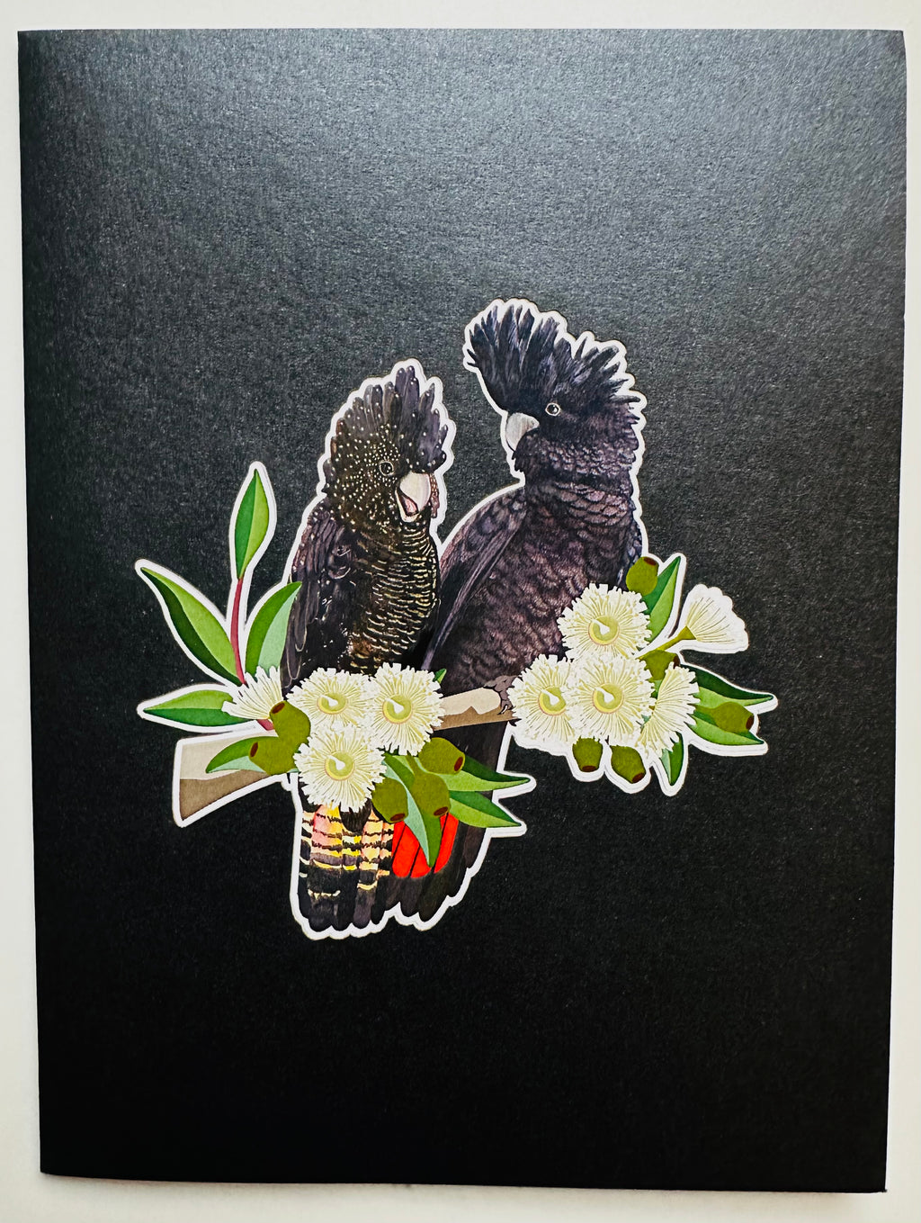DOUBLE Red-Tailed & Yellow-Tailed Black Cockatoos - Aussie Bird Origami Pop Cards 3D Pop Up Greeting Card Happy Birthday Thank You Handmade Gift Thinking of You Blank Card for Any Occasion Happy Mother's Day Happy Father's Australiana Birds