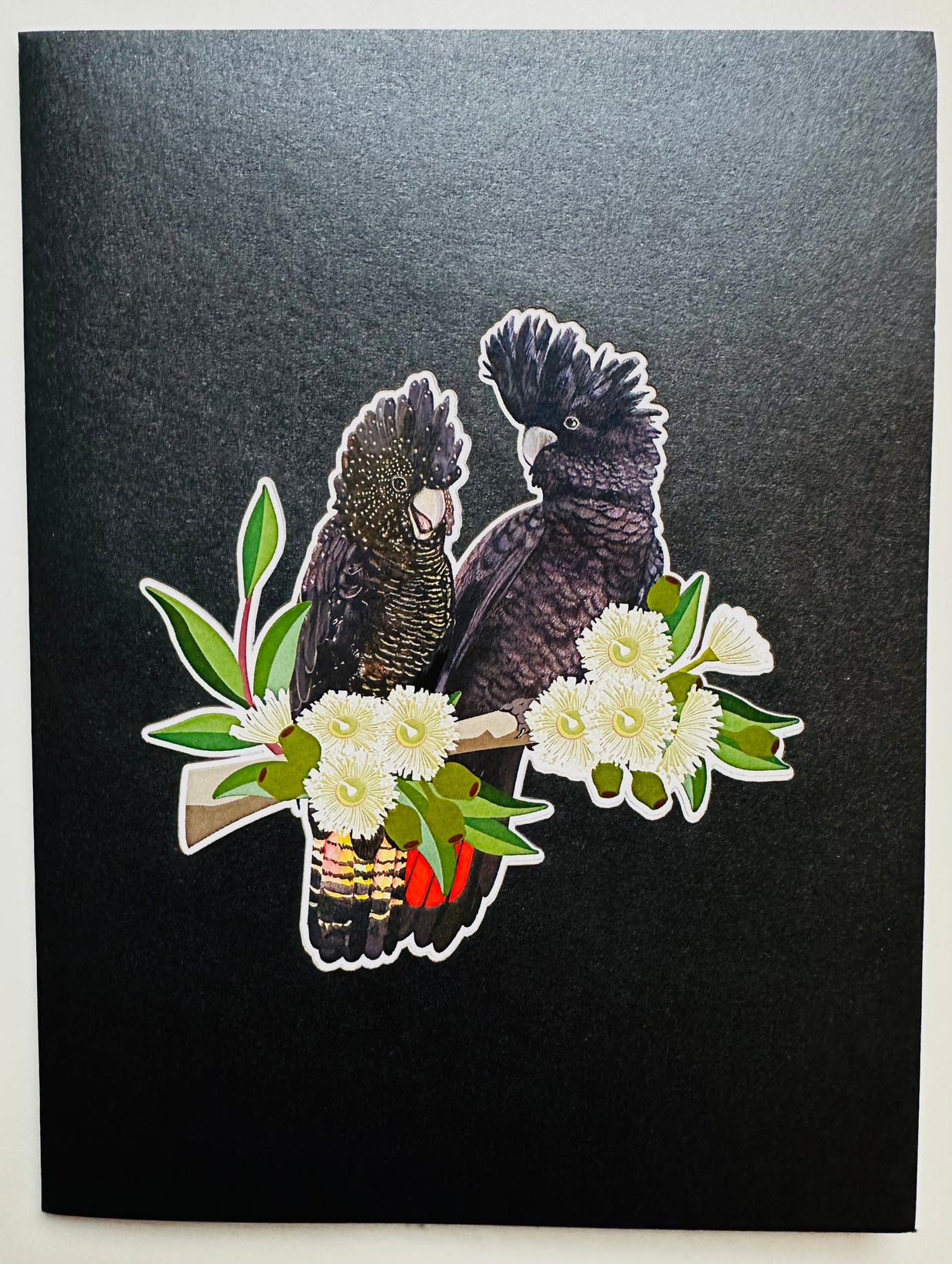 DOUBLE Red-Tailed & Yellow-Tailed Black Cockatoos - Aussie Bird Origami Pop Cards 3D Pop Up Greeting Card Happy Birthday Thank You Handmade Gift Thinking of You Blank Card for Any Occasion Happy Mother's Day Happy Father's Australiana Birds