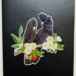 DOUBLE Red-Tailed & Yellow-Tailed Black Cockatoos - Aussie Bird Origami Pop Cards 3D Pop Up Greeting Card Happy Birthday Thank You Handmade Gift Thinking of You Blank Card for Any Occasion Happy Mother's Day Happy Father's Australiana Birds