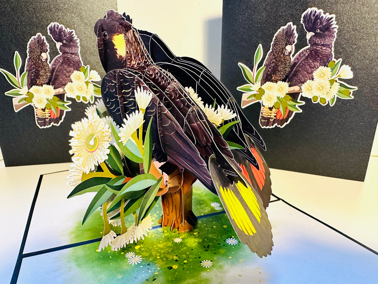 DOUBLE Red-Tailed & Yellow-Tailed Black Cockatoos - Aussie Bird Origami Pop Cards 3D Pop Up Greeting Card Happy Birthday Thank You Handmade Gift Thinking of You Blank Card for Any Occasion Happy Mother's Day Happy Father's Australiana Birds