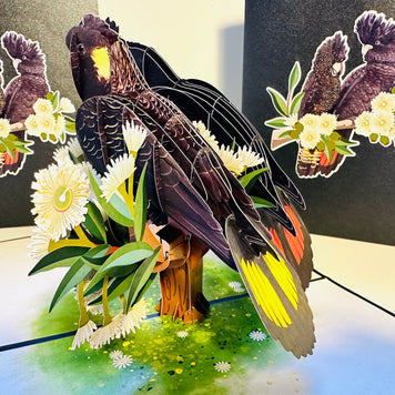 DOUBLE Red-Tailed & Yellow-Tailed Black Cockatoos - Aussie Bird Origami Pop Cards 3D Pop Up Greeting Card Happy Birthday Thank You Handmade Gift Thinking of You Blank Card for Any Occasion Happy Mother's Day Happy Father's Australiana Birds