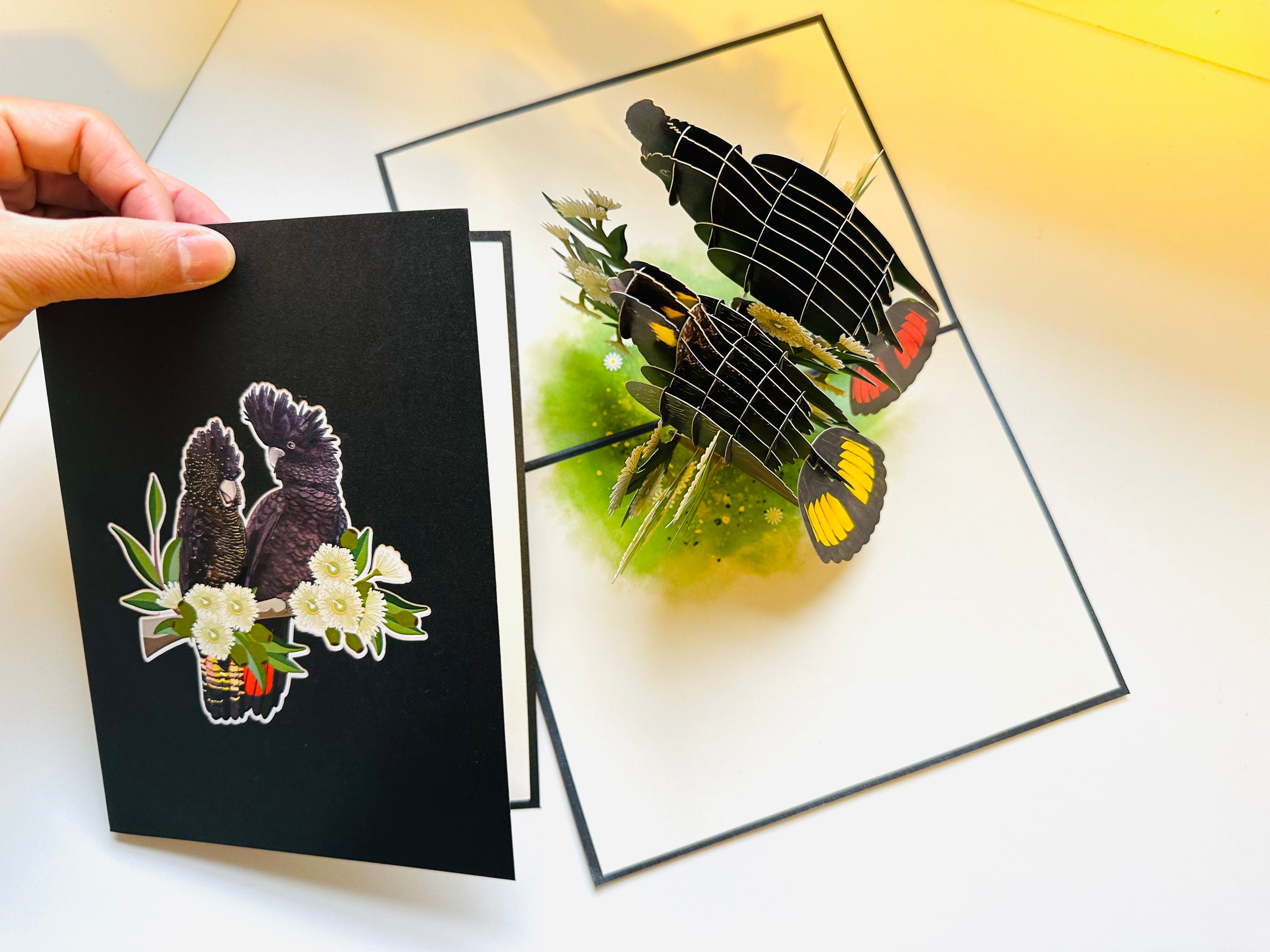 DOUBLE Red-Tailed & Yellow-Tailed Black Cockatoos - Aussie Bird Origami Pop Cards 3D Pop Up Greeting Card Happy Birthday Thank You Handmade Gift Thinking of You Blank Card for Any Occasion Happy Mother's Day Happy Father's Australiana Birds
