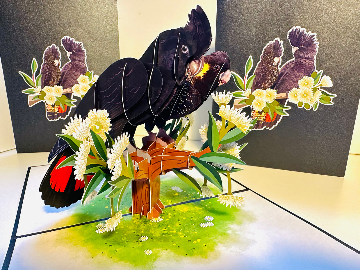 DOUBLE Red-Tailed & Yellow-Tailed Black Cockatoos - Aussie Bird Origami Pop Cards 3D Pop Up Greeting Card Happy Birthday Thank You Handmade Gift Thinking of You Blank Card for Any Occasion Happy Mother's Day Happy Father's Australiana Birds