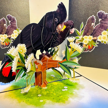 DOUBLE Red-Tailed & Yellow-Tailed Black Cockatoos - Aussie Bird Origami Pop Cards 3D Pop Up Greeting Card Happy Birthday Thank You Handmade Gift Thinking of You Blank Card for Any Occasion Happy Mother's Day Happy Father's Australiana Birds