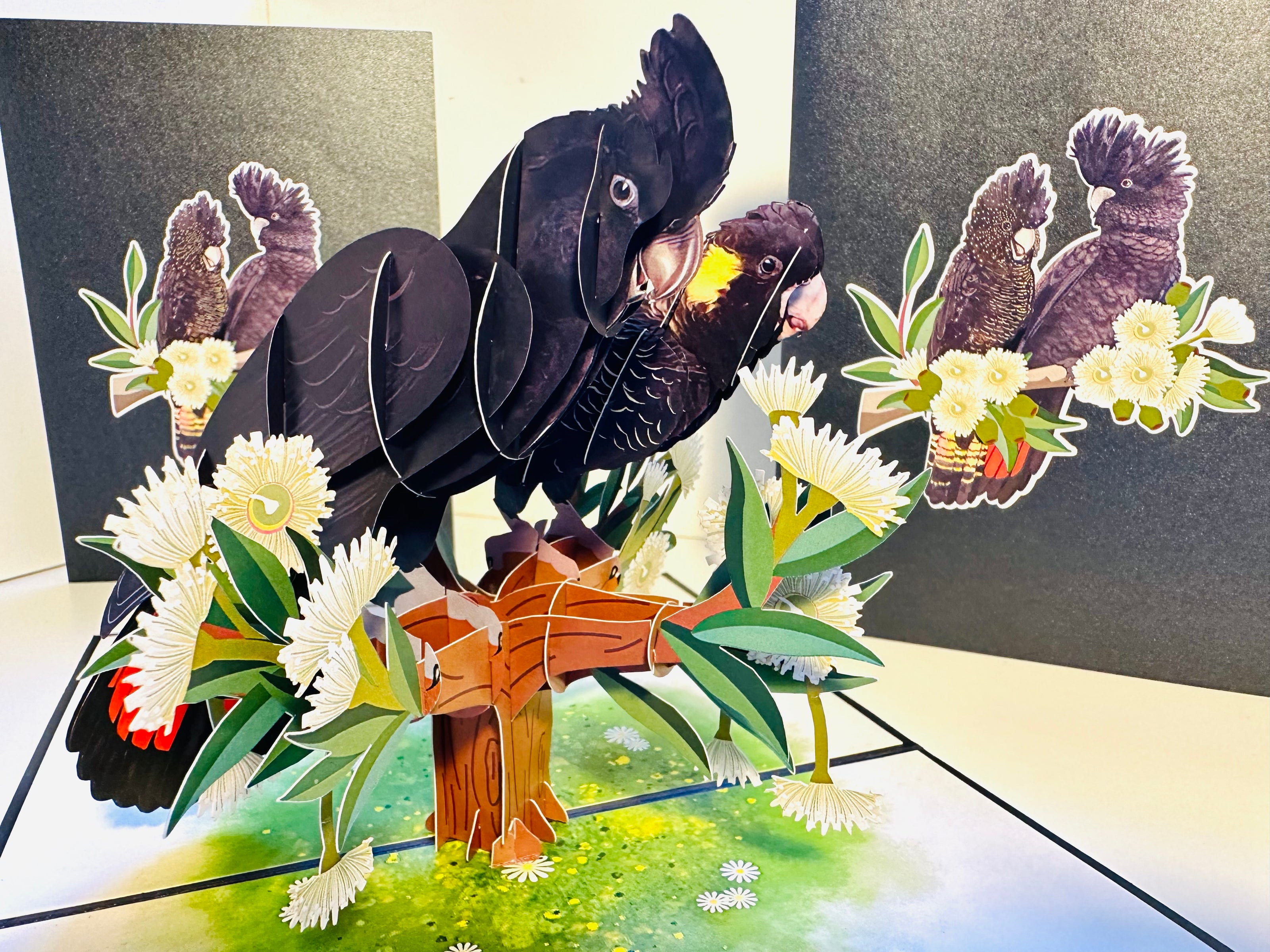 DOUBLE Red-Tailed & Yellow-Tailed Black Cockatoos - Aussie Bird Origami Pop Cards 3D Pop Up Greeting Card Happy Birthday Thank You Handmade Gift Thinking of You Blank Card for Any Occasion Happy Mother's Day Happy Father's Australiana Birds