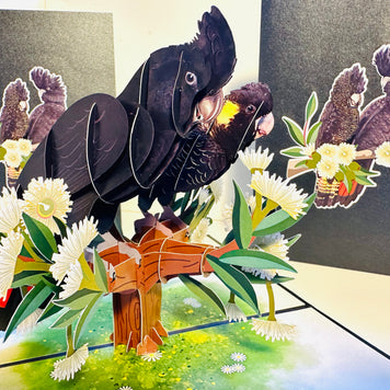 DOUBLE Red-Tailed & Yellow-Tailed Black Cockatoos - Aussie Bird Origami Pop Cards 3D Pop Up Greeting Card Happy Birthday Thank You Handmade Gift Thinking of You Blank Card for Any Occasion Happy Mother's Day Happy Father's Australiana Birds