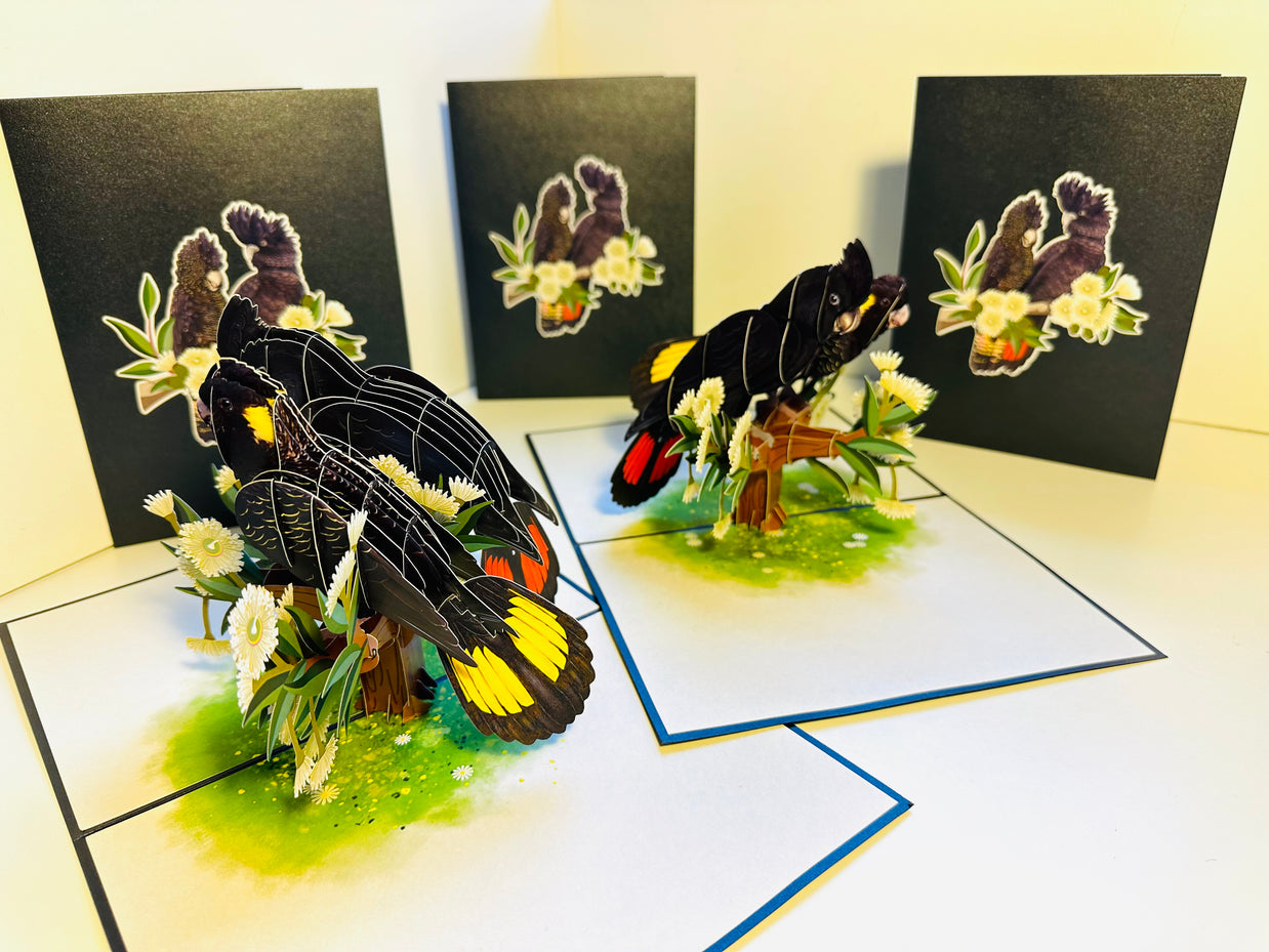 DOUBLE Red-Tailed & Yellow-Tailed Black Cockatoos - Aussie Bird Origami Pop Cards 3D Pop Up Greeting Card Happy Birthday Thank You Handmade Gift Thinking of You Blank Card for Any Occasion Happy Mother's Day Happy Father's Australiana Birds
