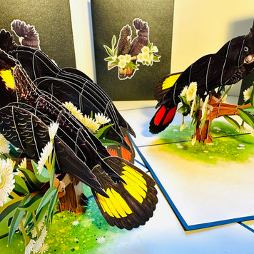 DOUBLE Red-Tailed & Yellow-Tailed Black Cockatoos - Aussie Bird Origami Pop Cards 3D Pop Up Greeting Card Happy Birthday Thank You Handmade Gift Thinking of You Blank Card for Any Occasion Happy Mother's Day Happy Father's Australiana Birds