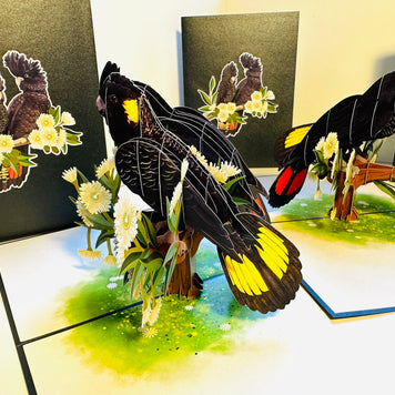DOUBLE Red-Tailed & Yellow-Tailed Black Cockatoos - Aussie Bird Origami Pop Cards 3D Pop Up Greeting Card Happy Birthday Thank You Handmade Gift Thinking of You Blank Card for Any Occasion Happy Mother's Day Happy Father's Australiana Birds