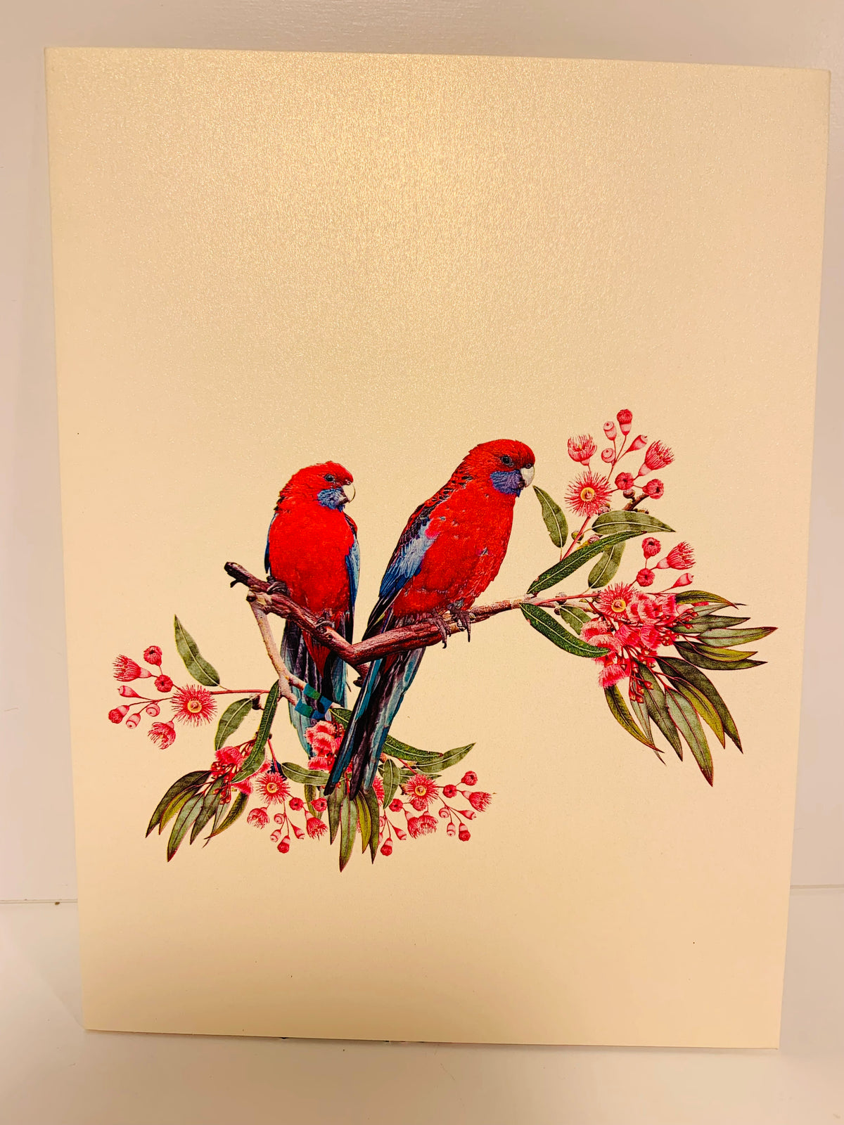 Double Crimson Rosella Parrot Australian Bird Origami Pop Cards 3D Pop Up Greeting Card Happy Birthday Thank You Handmade Gift Thinking of You Blank Card for Any Occasion Happy Mother's Day Happy Father's Australiana Birds