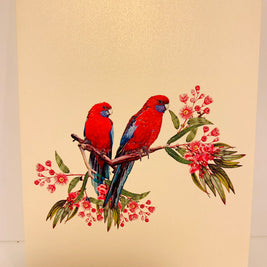 Double Crimson Rosella Parrot Australian Bird Origami Pop Cards 3D Pop Up Greeting Card Happy Birthday Thank You Handmade Gift Thinking of You Blank Card for Any Occasion Happy Mother's Day Happy Father's Australiana Birds