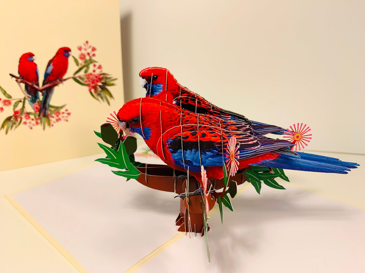 Double Crimson Rosella Parrot Australian Bird Origami Pop Cards 3D Pop Up Greeting Card Happy Birthday Thank You Handmade Gift Thinking of You Blank Card for Any Occasion Happy Mother's Day Happy Father's Australiana Birds