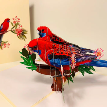 Double Crimson Rosella Parrot Australian Bird Origami Pop Cards 3D Pop Up Greeting Card Happy Birthday Thank You Handmade Gift Thinking of You Blank Card for Any Occasion Happy Mother's Day Happy Father's Australiana Birds