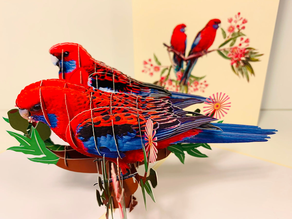 Double Crimson Rosella Parrot Australian Bird Origami Pop Cards 3D Pop Up Greeting Card Happy Birthday Thank You Handmade Gift Thinking of You Blank Card for Any Occasion Happy Mother's Day Happy Father's Australiana Birds