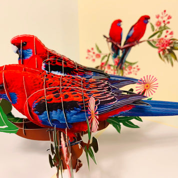 Double Crimson Rosella Parrot Australian Bird Origami Pop Cards 3D Pop Up Greeting Card Happy Birthday Thank You Handmade Gift Thinking of You Blank Card for Any Occasion Happy Mother's Day Happy Father's Australiana Birds