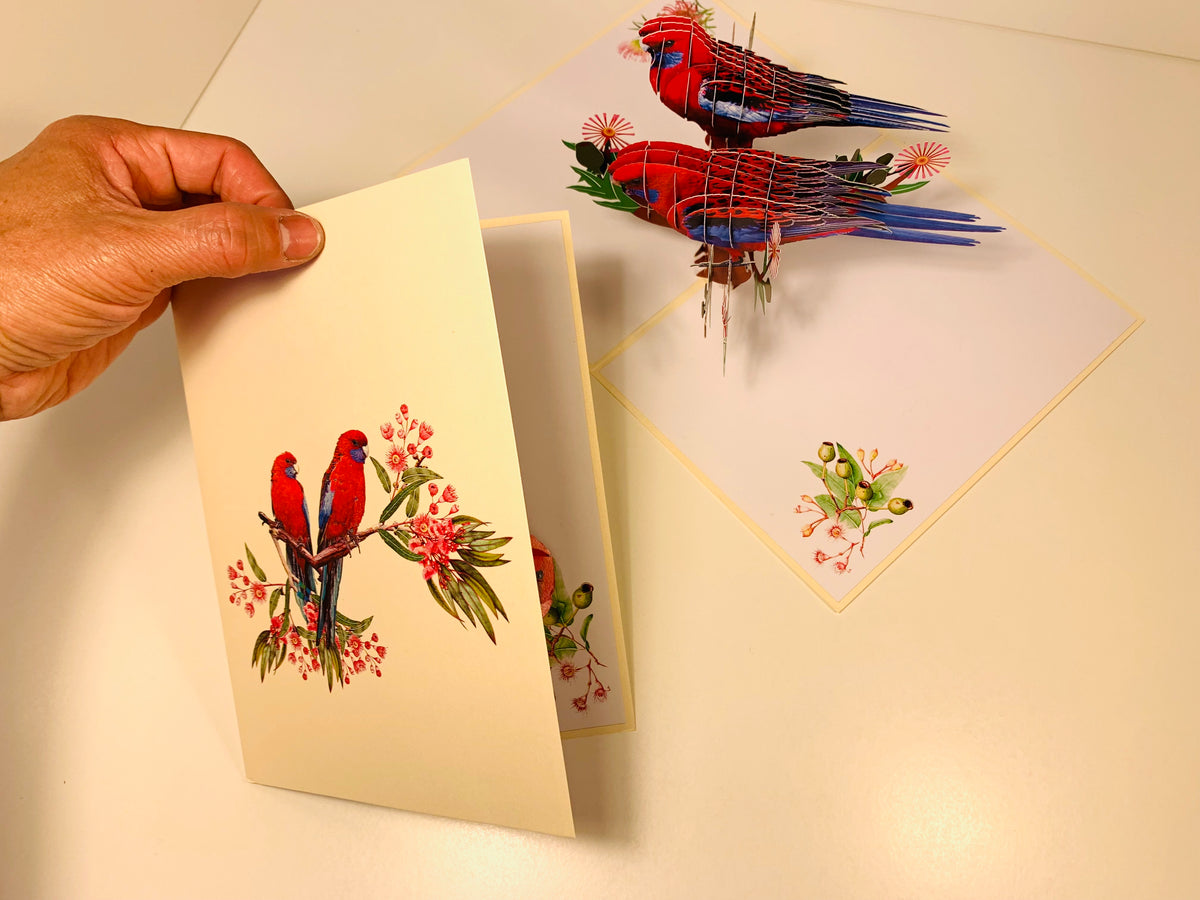 Double Crimson Rosella Parrot Australian Bird Origami Pop Cards 3D Pop Up Greeting Card Happy Birthday Thank You Handmade Gift Thinking of You Blank Card for Any Occasion Happy Mother's Day Happy Father's Australiana Birds